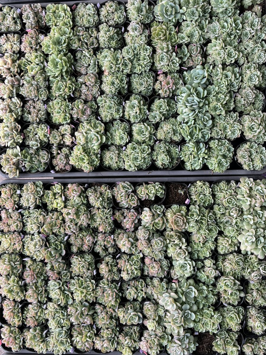 穏やかな夜を𓂃 𓈒𓏸 𓋜 . *