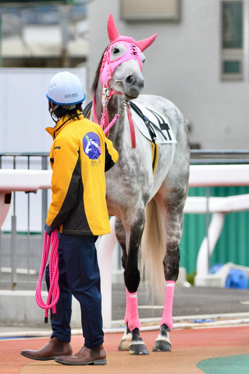 エド4世 (@edward4th66) / Posts / X