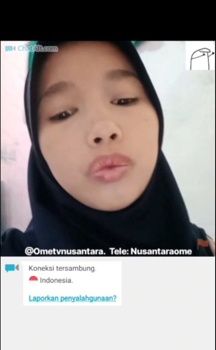 my cattttt😺 tweet media