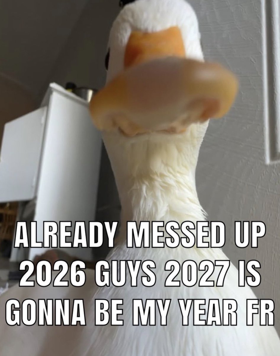 gQuack gang !! <a href="/wallchain/">Wallchain Quacks</a> 

I’ve ruffled some feathers, but hey I’m a duck. 

Guess I’ll keeping up and try harder in 2027 😹