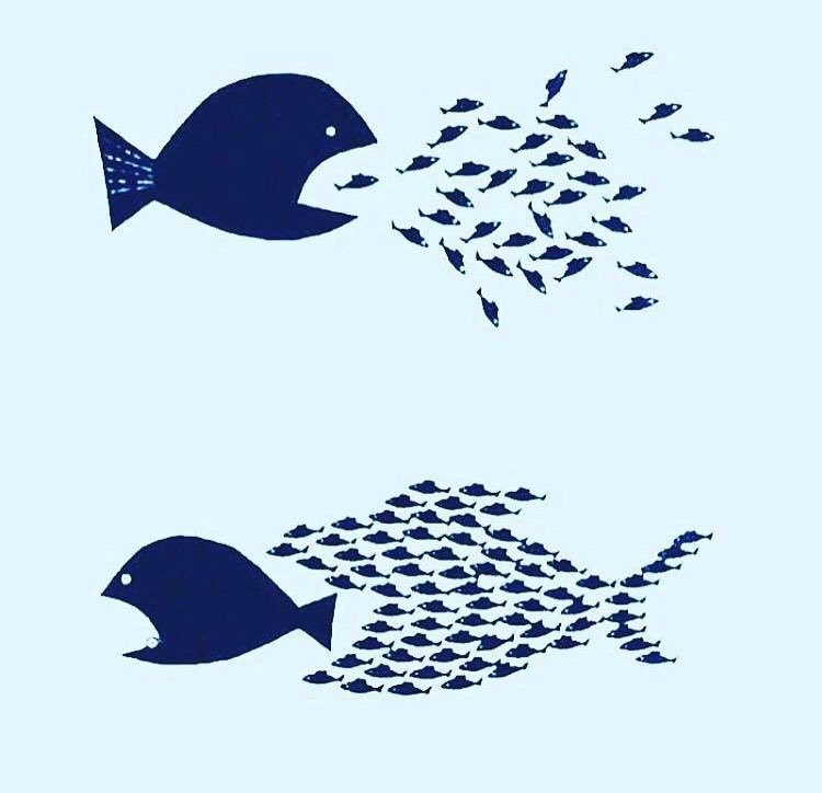 That Persian Lady tweet media