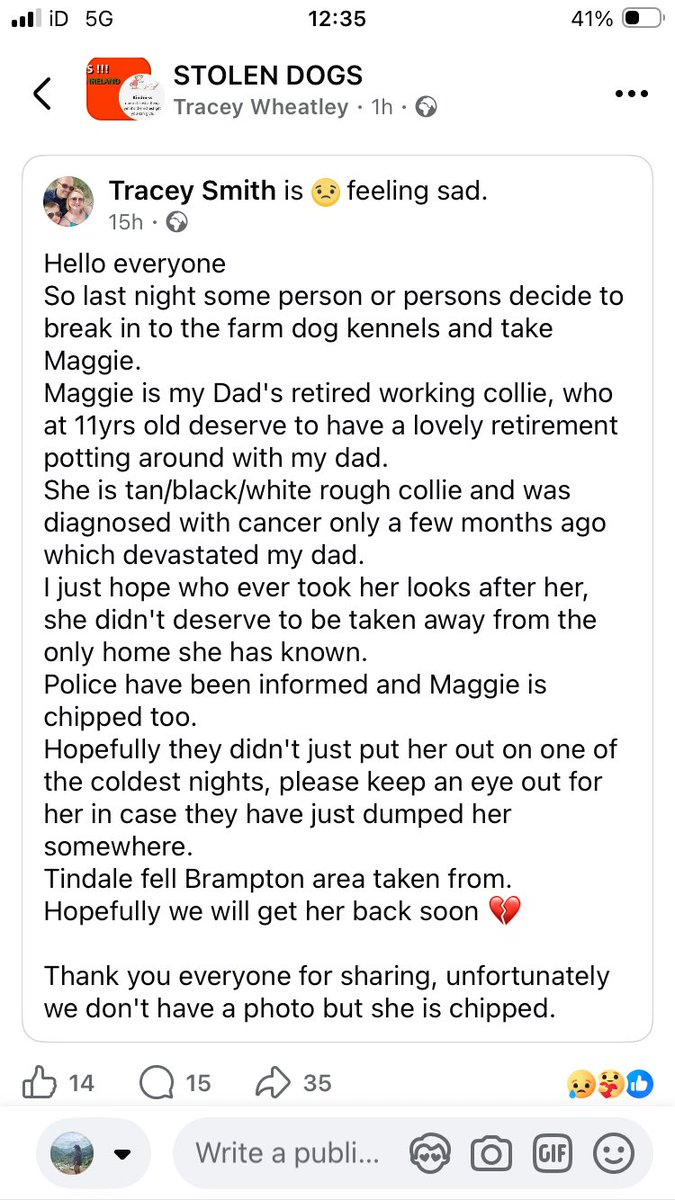 Please share - stolen retired working collie

facebook.com/share/p/1AVEE5…