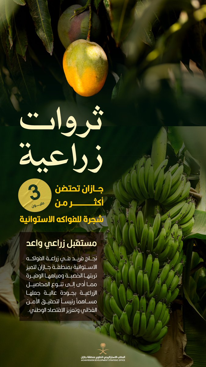 أكثر من 3 مليون شجرة للفواكه الاستوائية تحتضنها منطقة جازان.

#المكتب_الاستراتيجي_لتطوير_جازان