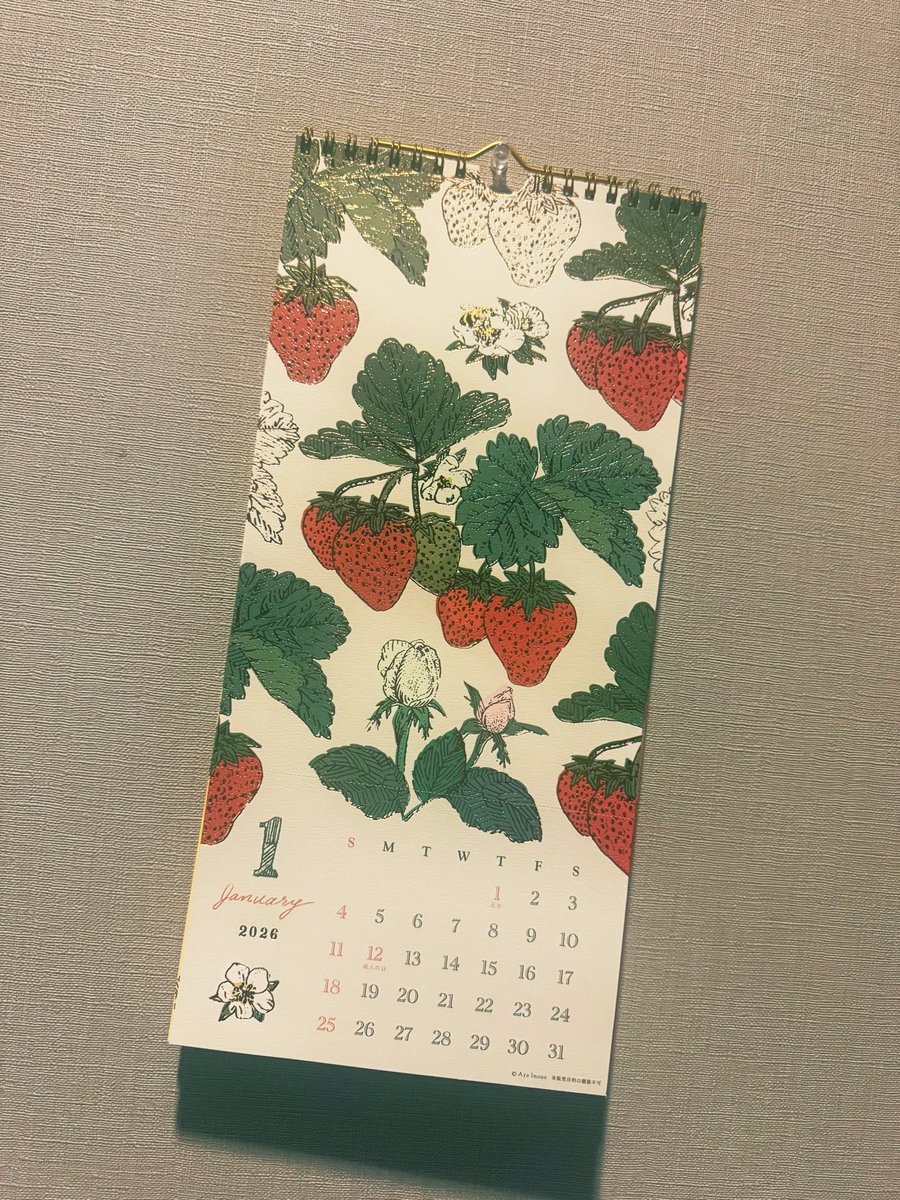 大好物の七草粥🍲
昨日は嬉し泣きした😌
2026年もしあわせだ🍓