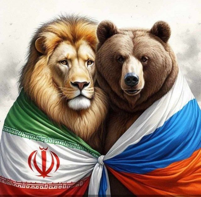 Aleksey The Great 🇷🇺🎖 tweet media