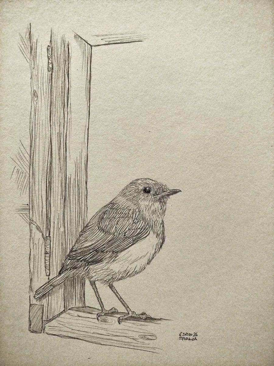 Hay preguntas que no tienen respuesta.
Por ejemplo: ¿cuánto se puede echar de menos a alguien?
No hay respuesta. No la hay.