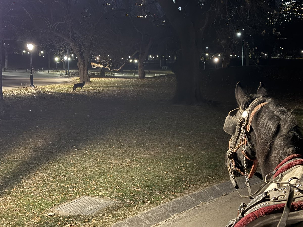 Christina Hansen tweet media