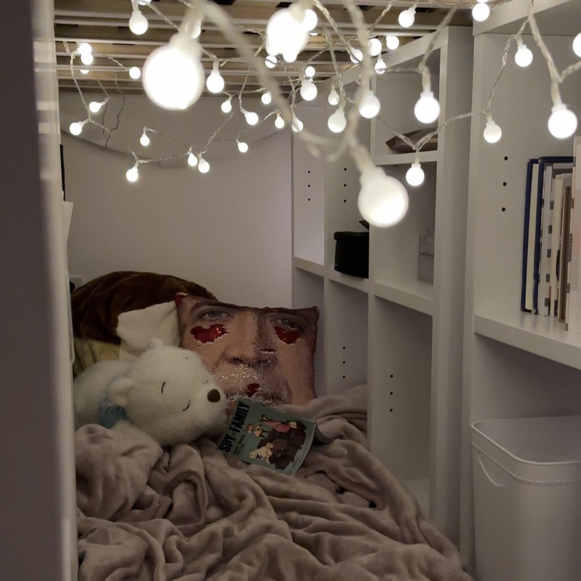 子どもの頃からの夢を、24歳にして叶えました。
ベッドの下に潜って引きこもれる「秘密基地ベッド」です(ง ˘ω˘ )ว