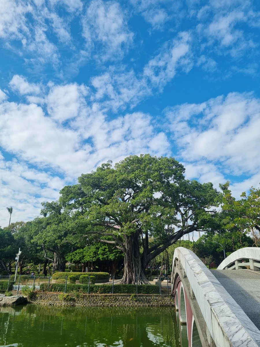 암호화폐전송대행[구글도배,구글찌라시 텔 𝑮𝑺𝑬𝑶8]장외거래인증업체.hrc