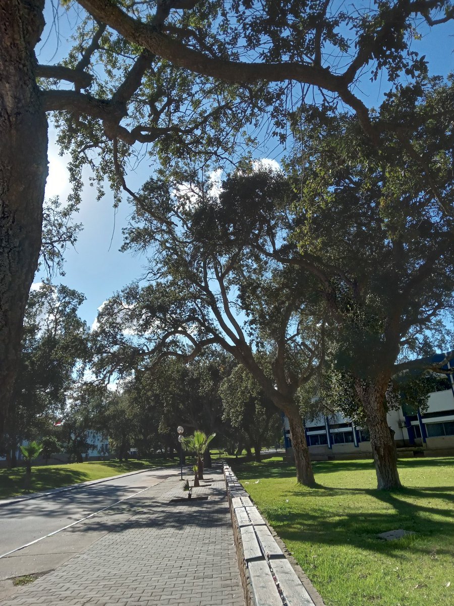 Cha0sControl95's tweet image. Top 3 dyal lblayess f la fac