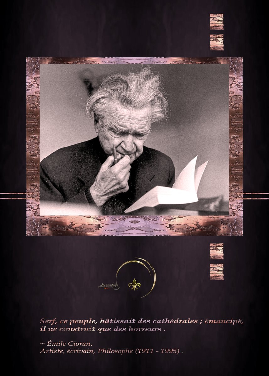 Angus753's tweet image. 