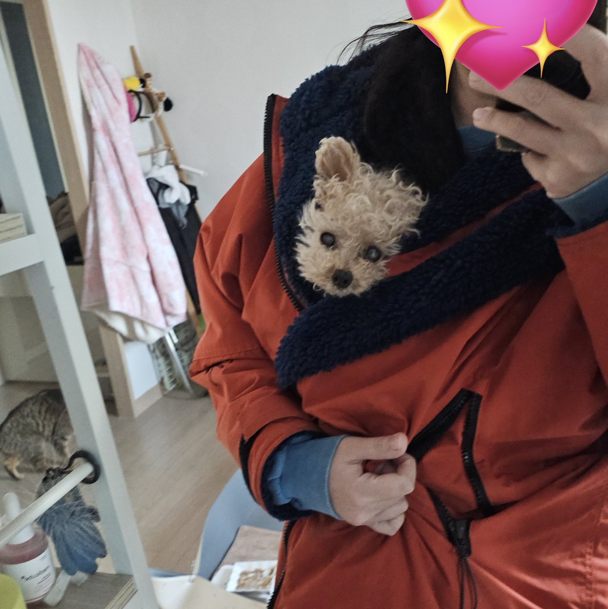 맨날일케 넣어다니고시4다