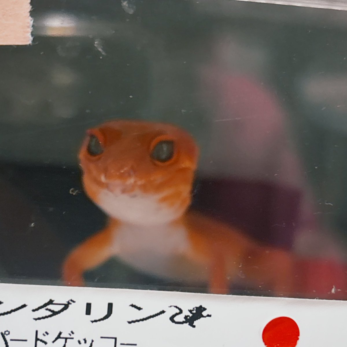 定休日に営業電話してくる営業マンは好きではありませんよ！！