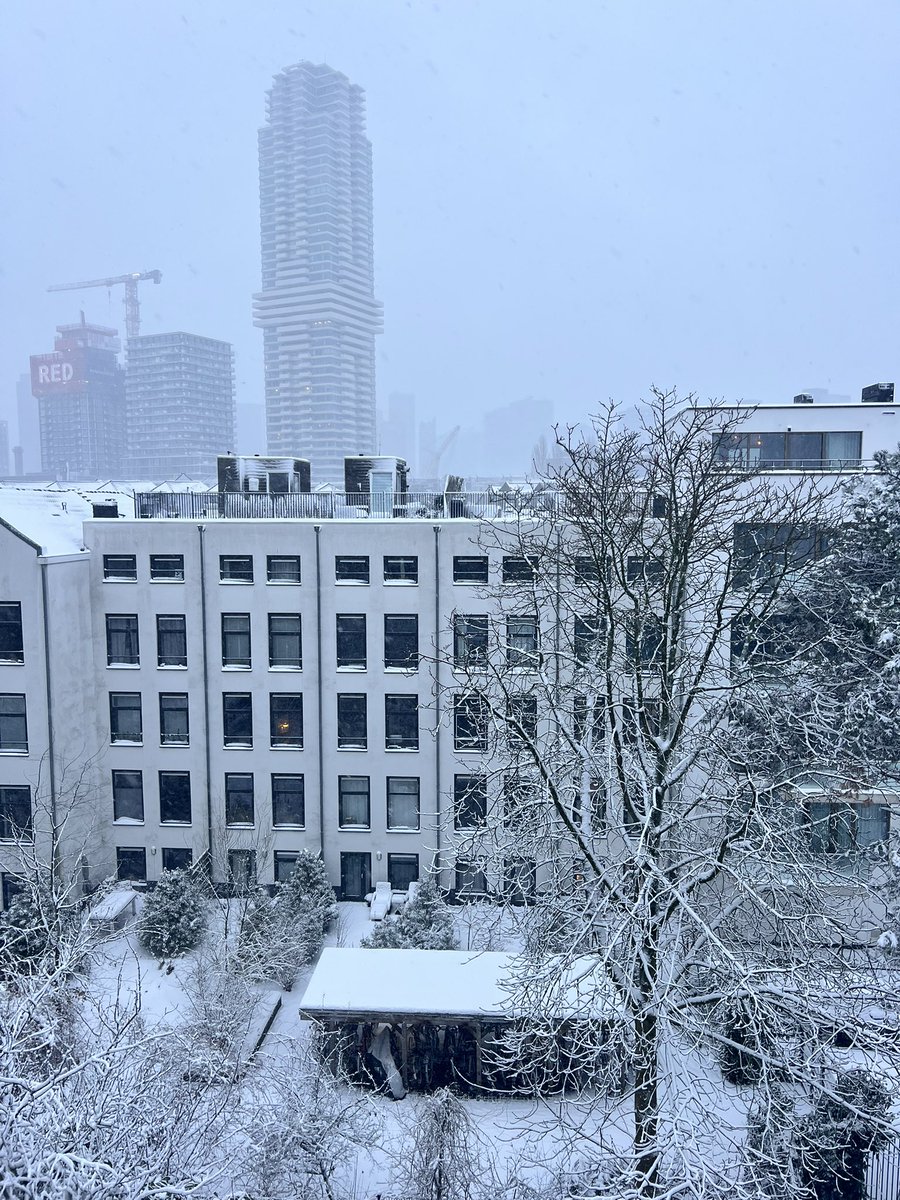 Ebru Umar tweet media