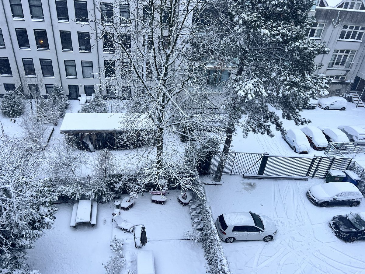 Ebru Umar tweet media