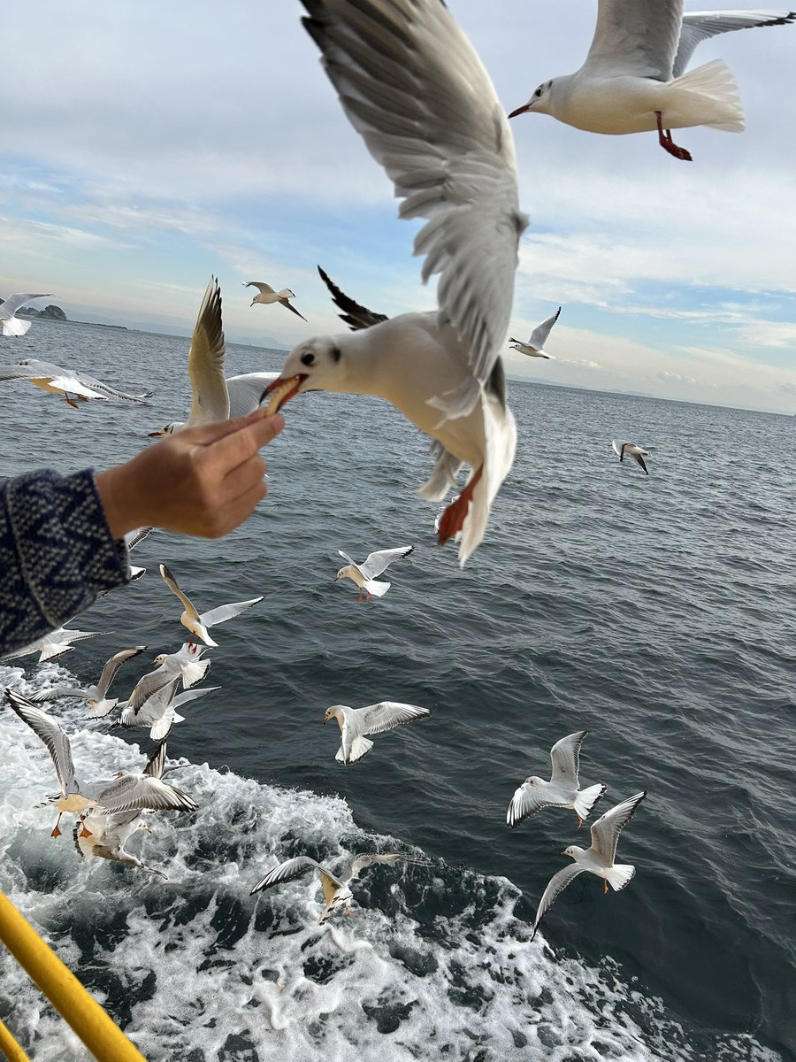 城ヶ島行ってきた🙌