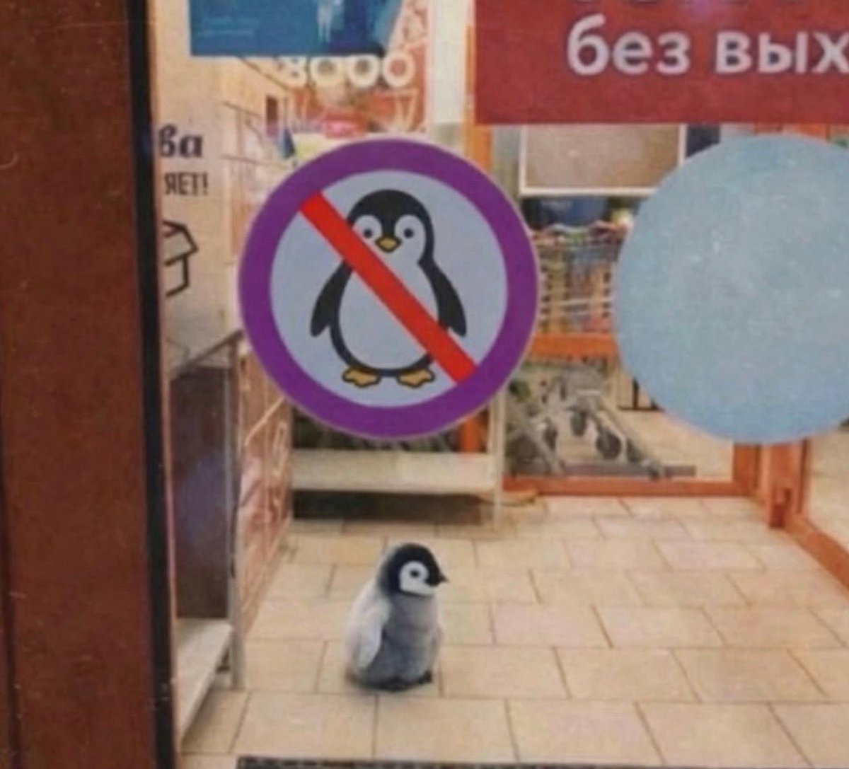 Xeusthegreat (♟,♟) tweet media