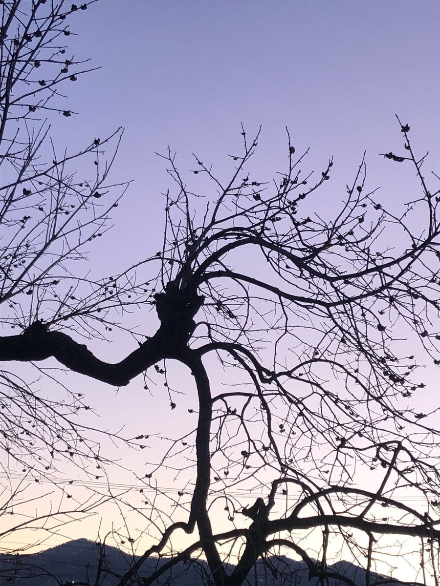 新さん、皆さんこんにちは♪

今日のテーマ　"ウマくなりたい！"は…
写真撮るのウマくなりたい🐎
です😆
今だにiPhone一桁を使っています💦スマホを新しくしたら夕空写真も綺麗に撮れるかしら？

#マジカワ
