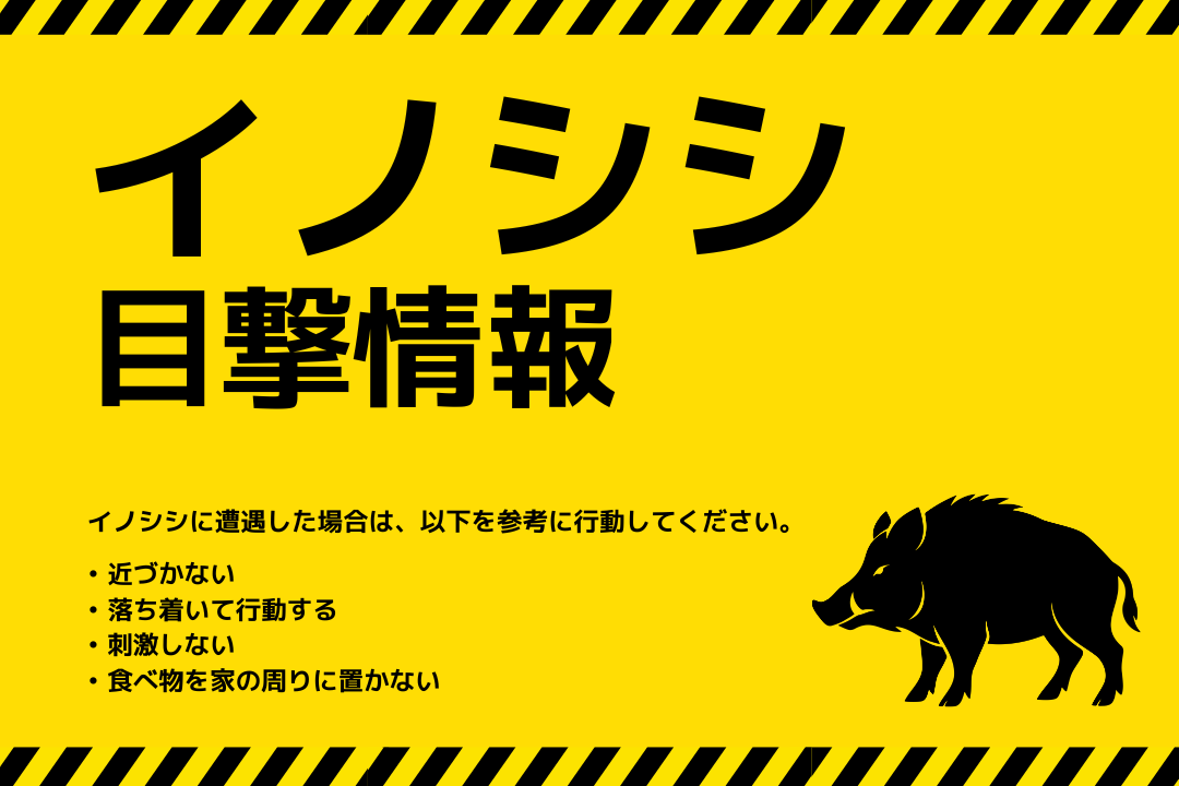 イノシシ　剥製　エコメルカリ便の承認お願い致します