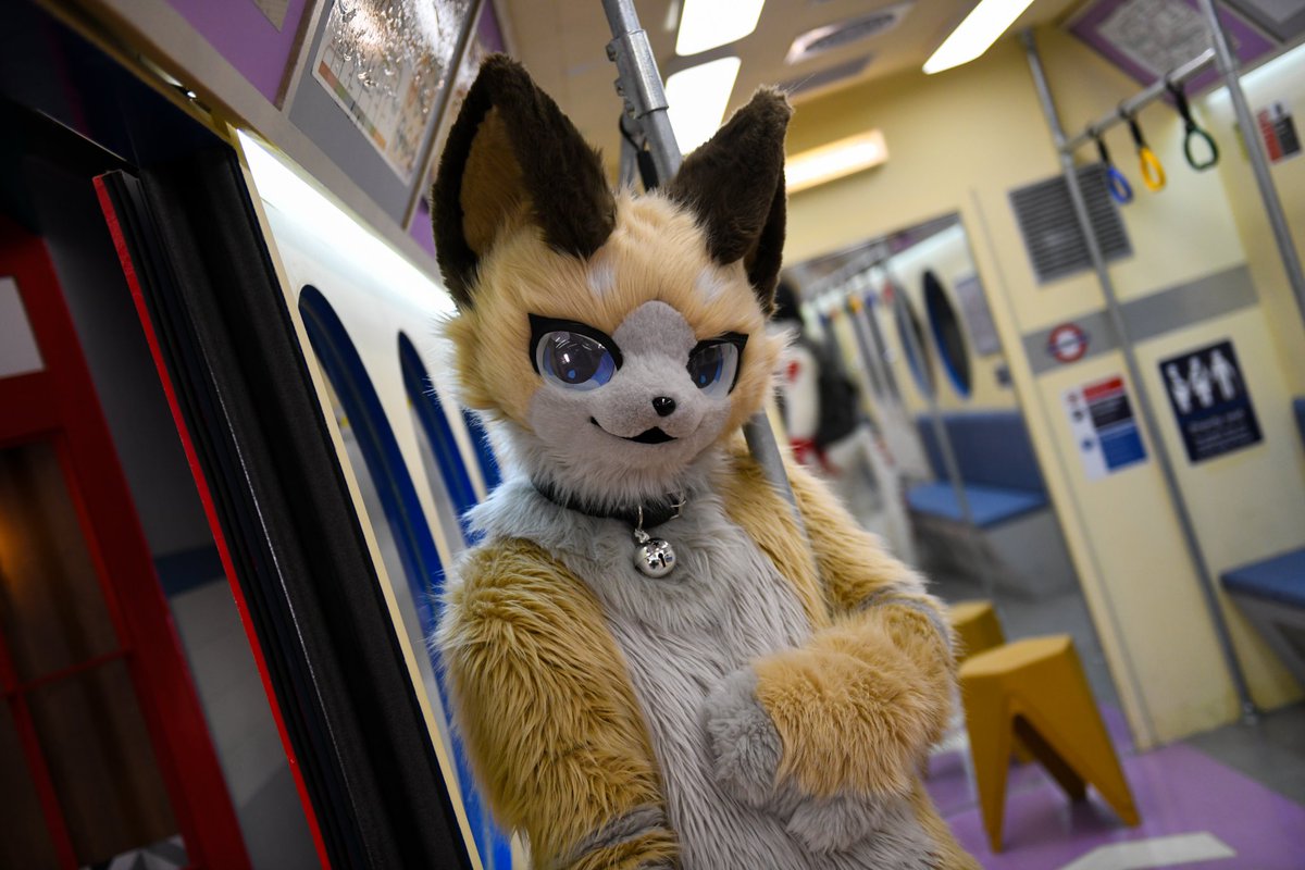 shellpwe's tweet image. #fursuit #furry #着ぐるみ

나랑 같이 떠나자!
私と一緒に行こう！

📸 : @Banikelee1112