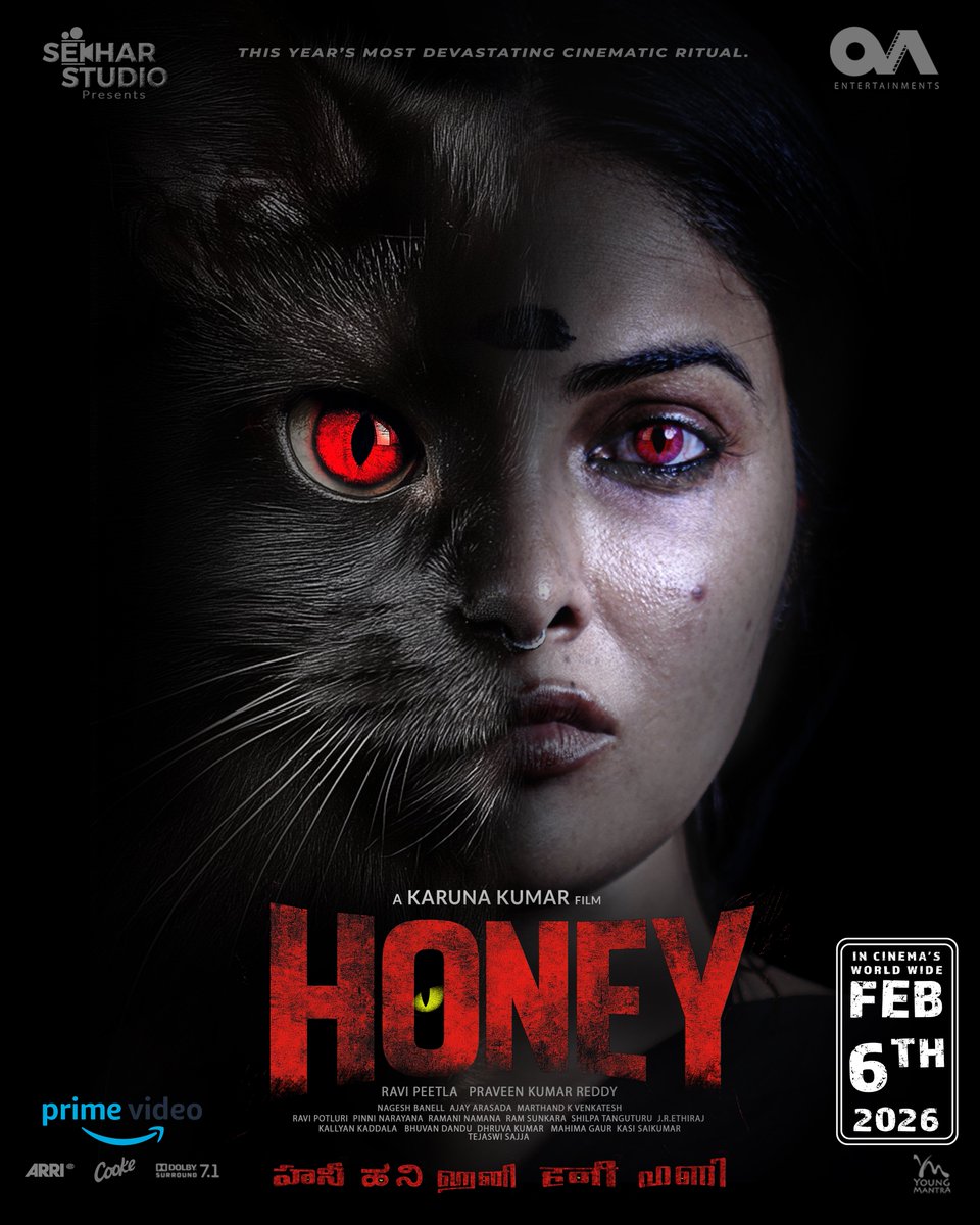 DiviNunchi tweet media