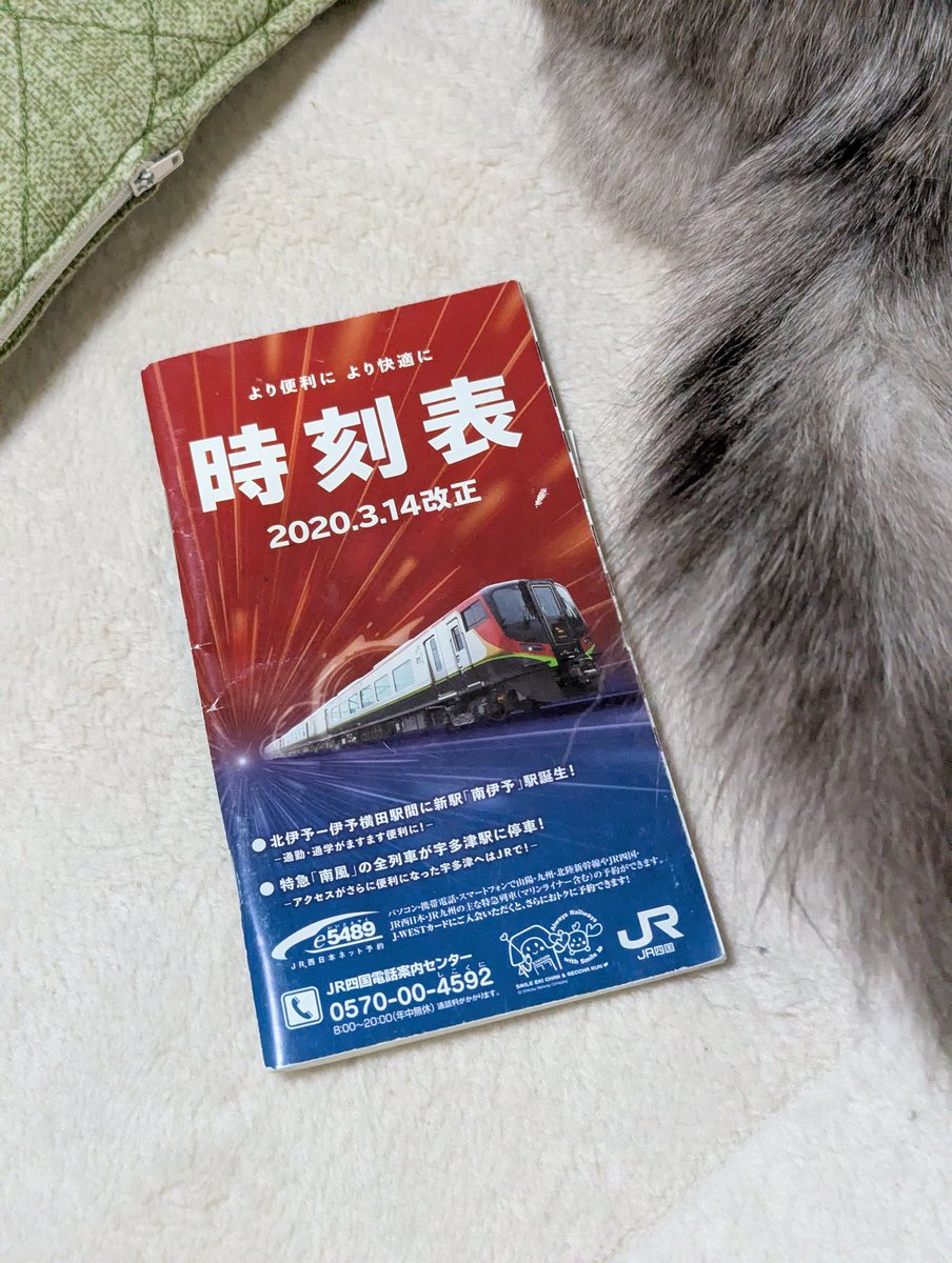 ちぃが棚から落とした堆積物()の中に懐かしいポケット時刻表が