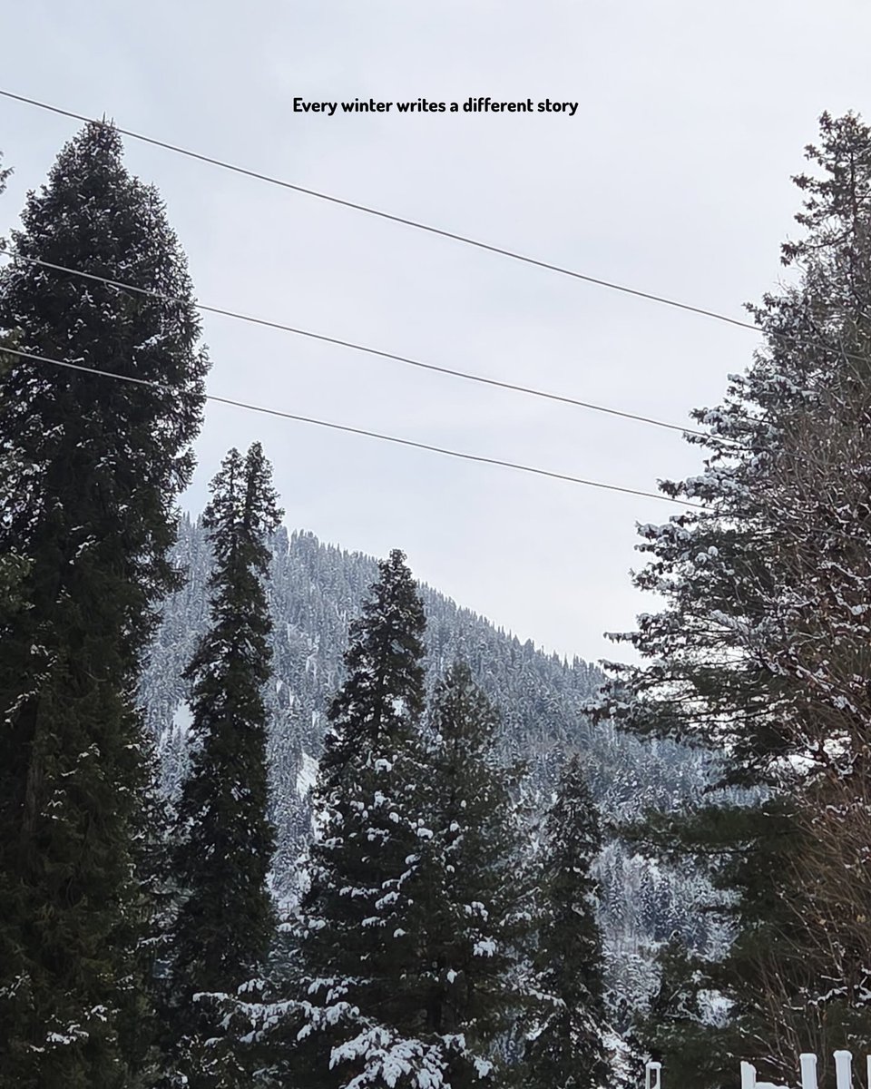 Rowwmut's tweet photo. Every winter writes a different story.🤍
#Wednesdayvibe https://t.co/Kq2FIwvD3a