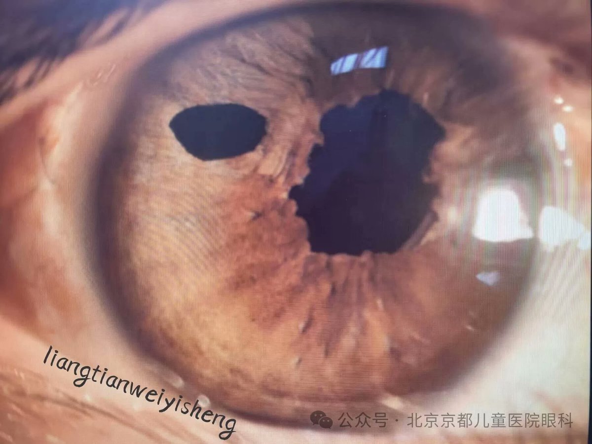 Jingdu Children Hospital tweet media