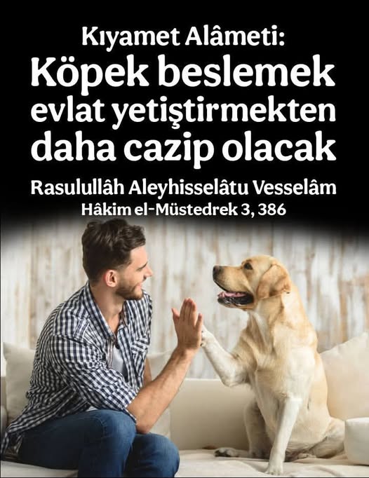 Bu evreyi çoktan geçtik, köpekler sokaklarda milletin çocuklarını boğazlarken onlarla saf tutan insanların olduğu noktadayız.