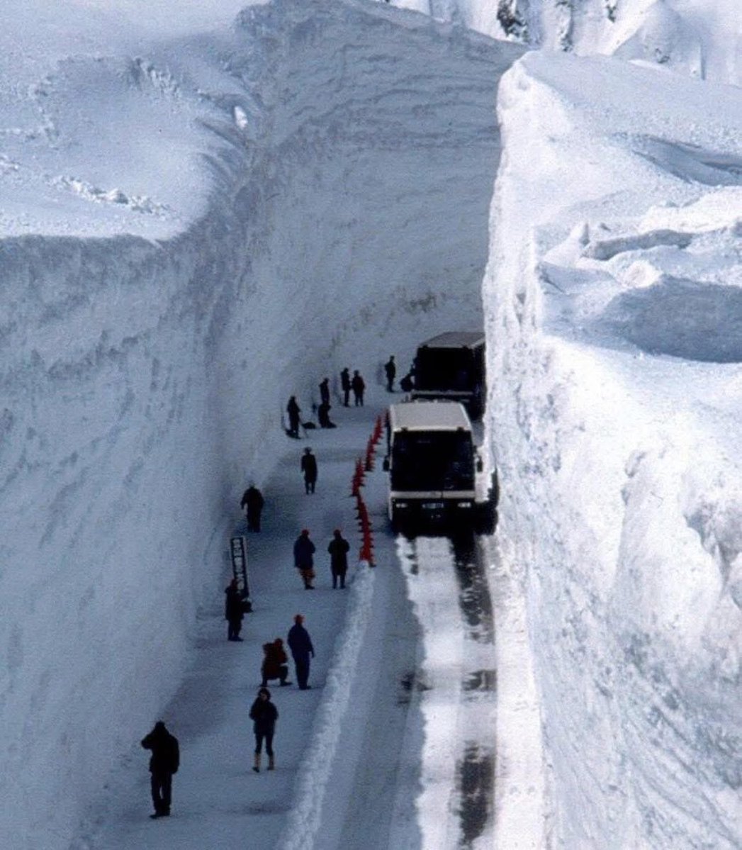 CANNETEX's tweet image. L’avenue des Champs Élysée en ce moment selon BFM 😂