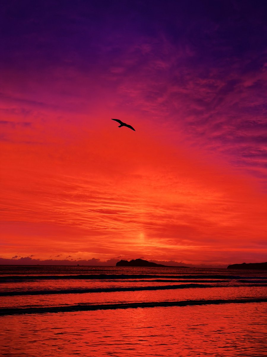 Insane sunrise on Portmarnock Beach this morning. Phone struggling to capture the vividness of the sky.