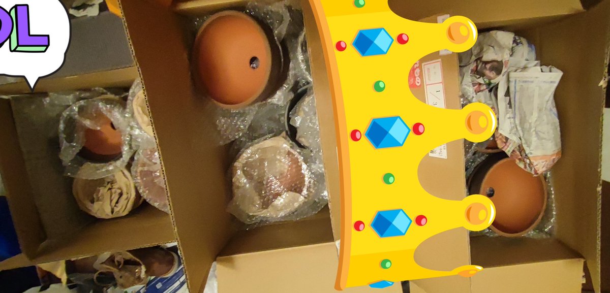 ombugarden's tweet photo. ユニークグリーン様からの福袋が届きました。
見ずらいですが苗鉢植えだけで15本、鉢は1つ10000円近くする高額品を含めて30〜40鉢
普段では買えない量です。
ユニークグリーン様、ありがとうございました🙇‍♂🙇‍♂ https://t.co/nekCOD7dvk
