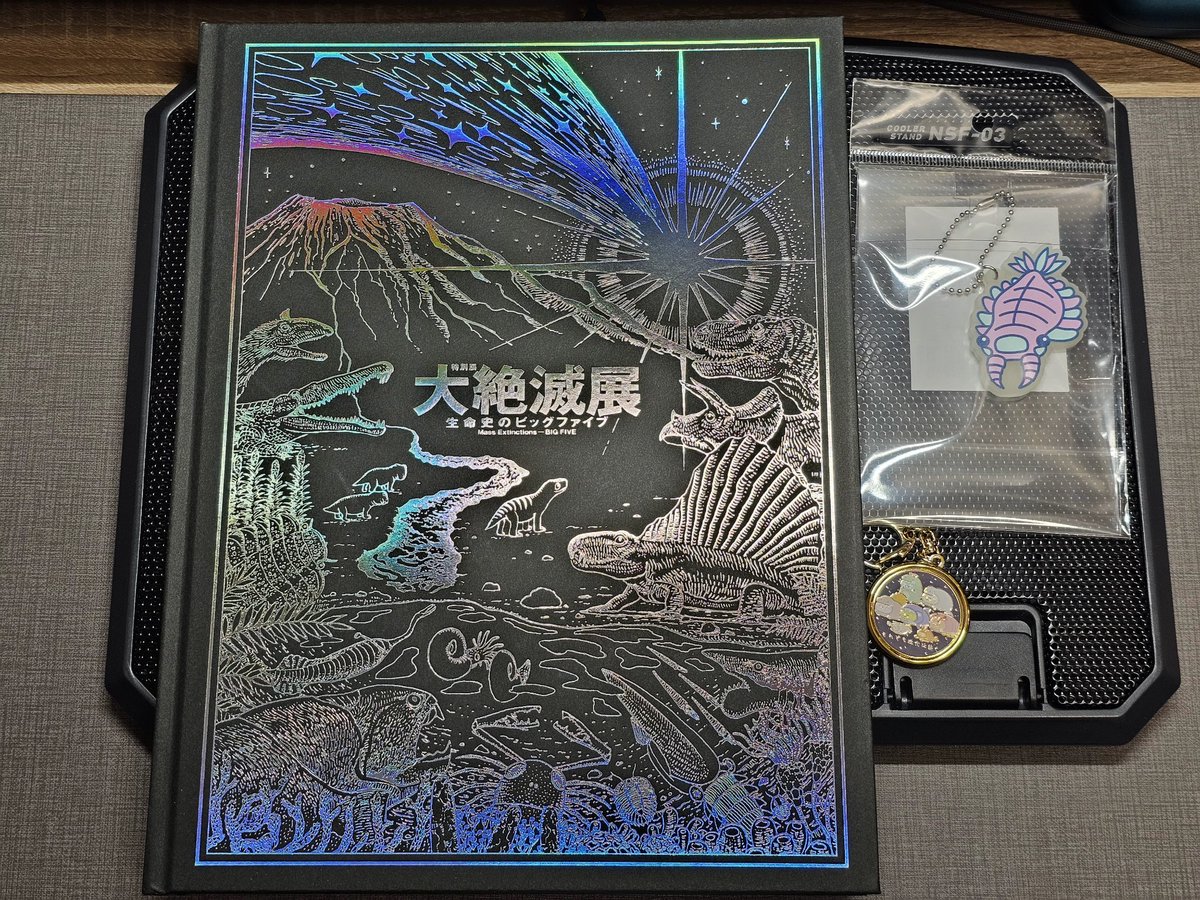 にゃんぴょう🌻 (@kinajampan) / Posts / X