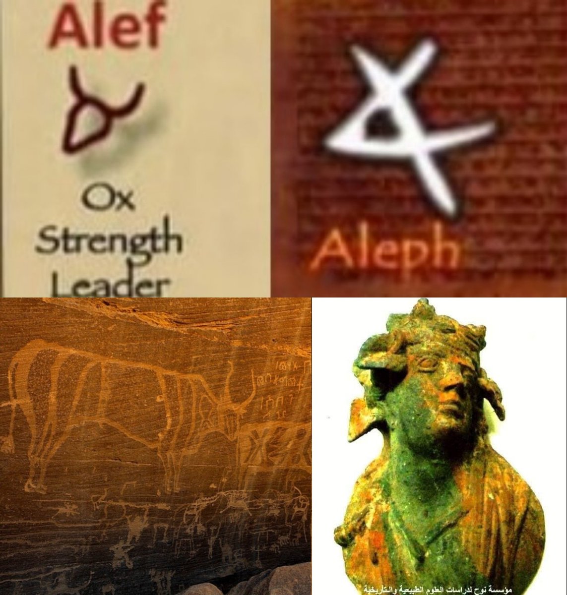 People here think I'm joking when I mention of being a "bvll", but I am actually serious.

The truth is that there is a deep esoteric meaning behind it if you pay attention to my posts. It's not only a symbol of Canaanism, but that of an Ox, the strongest form of a bull, and