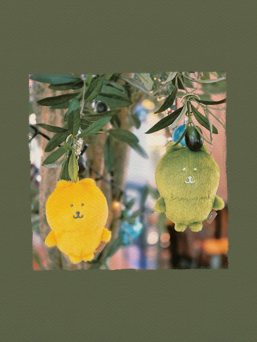 SIO__som's tweet photo. 251225
올리브담곰🫒 https://t.co/6mPDfk95x8