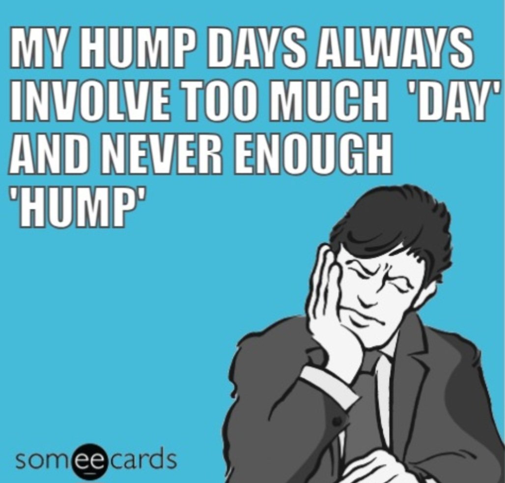 Good morning bootyful, always the case. 🤷‍♂️ I'll mostly be perving on all your bootyful asses today. Have a great #HumpDay everyone... xx 🍑🍑🍑