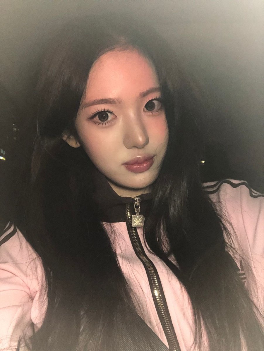설 tweet media