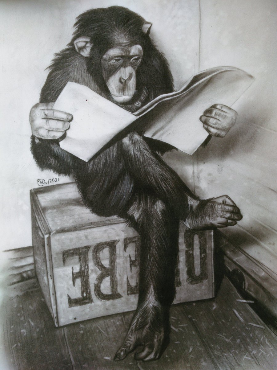 artistken123's tweet photo. "When evolution pauses to read what humans wrote." __ @artistken123 https://t.co/Yx53f2xKT8