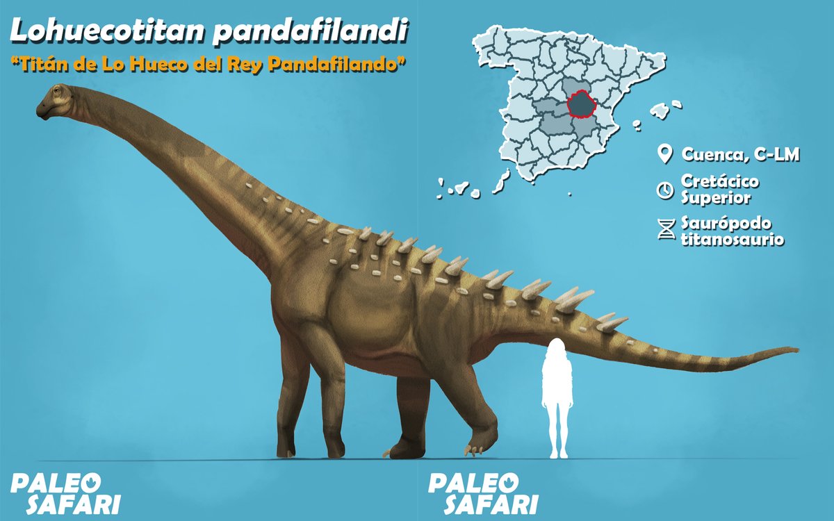 Koprolitos's tweet image. El #dinovember de Jesús Gamarra (@Gamarraptor), que repasa #dinosaurios hallados exclusivamente en #España, de la mano de @Carlosdino88:

▶️ koprolitos.blogspot.com/2026/01/el-din…
#dinosaur #illustration