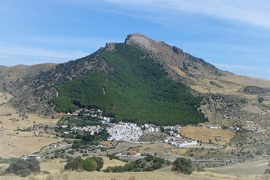 ASOCIACIÓN FORESTAL ANDALUZA tweet media