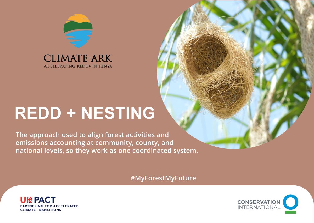 Climate Ark tweet media