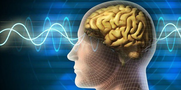 Türkiye’de En Zeki İnsanların Çıktığı 6 Şehir:

1- Rize
2- Kayseri
3- Diyarbakır
4- Malatya
5- Konya
6- Mersin