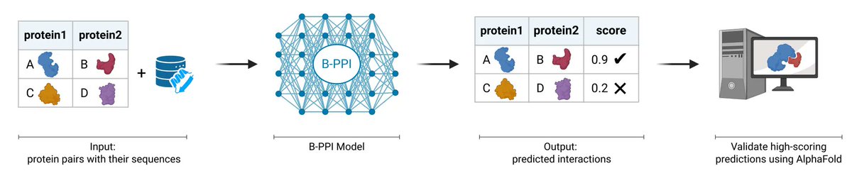 Burstein lab tweet media
