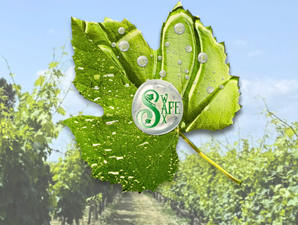 Technion Israel tweet media