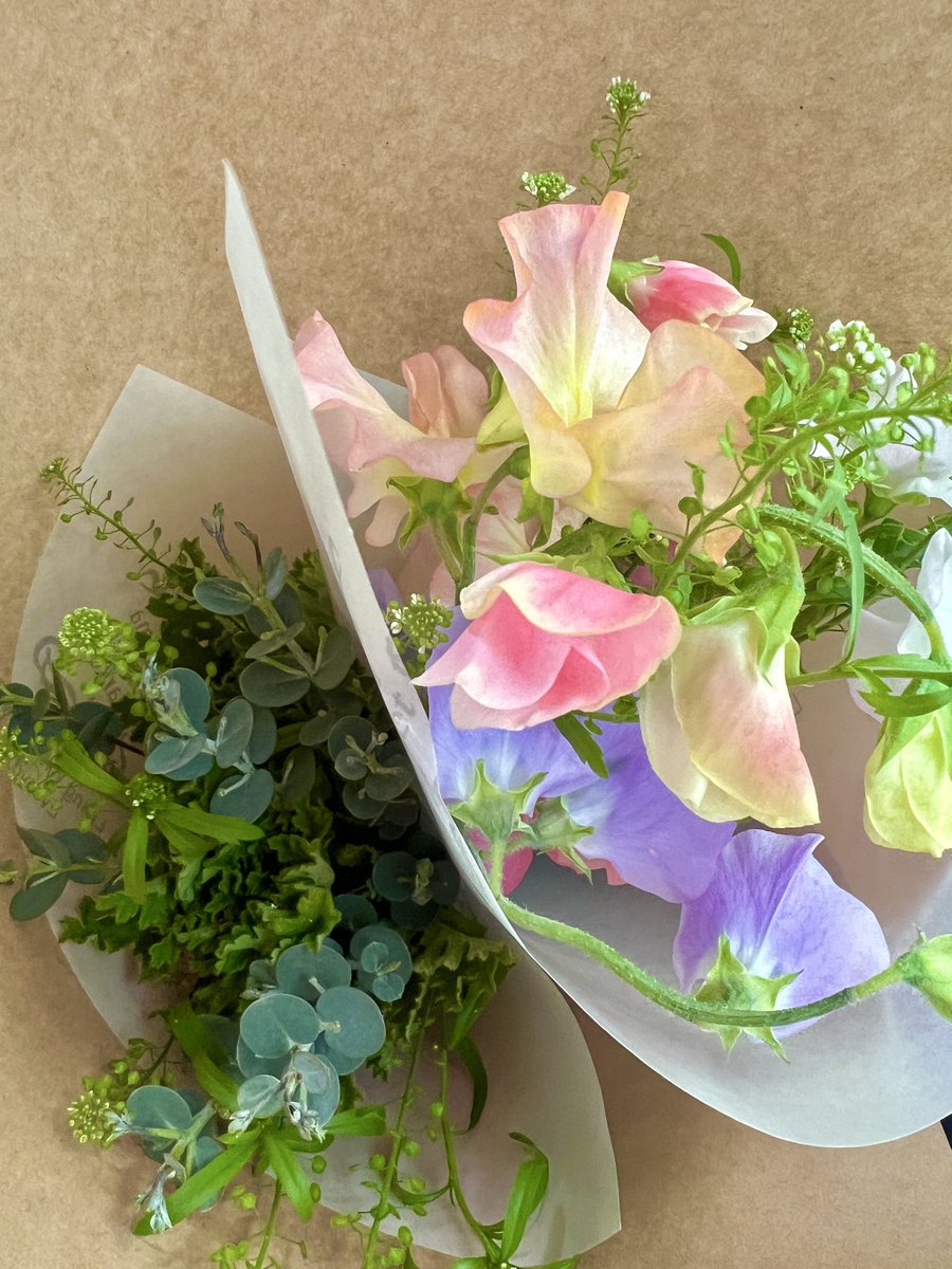 オレオレオナ(Gacharic Spin) (@oreoreona_gs) / Posts / X