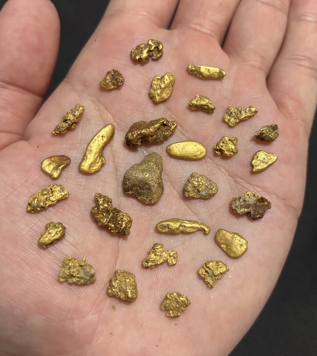 ✨大粒砂金✨ 今年も大粒砂金を採りに行きます💪 これらの大粒砂金は