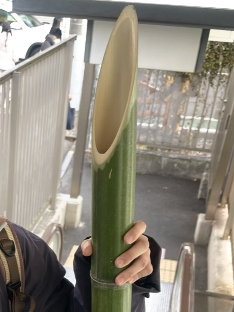 恋人が「かっこいいから持って帰る！」って竹拾ってきた…。
拾う動機が犬と同じ🐕