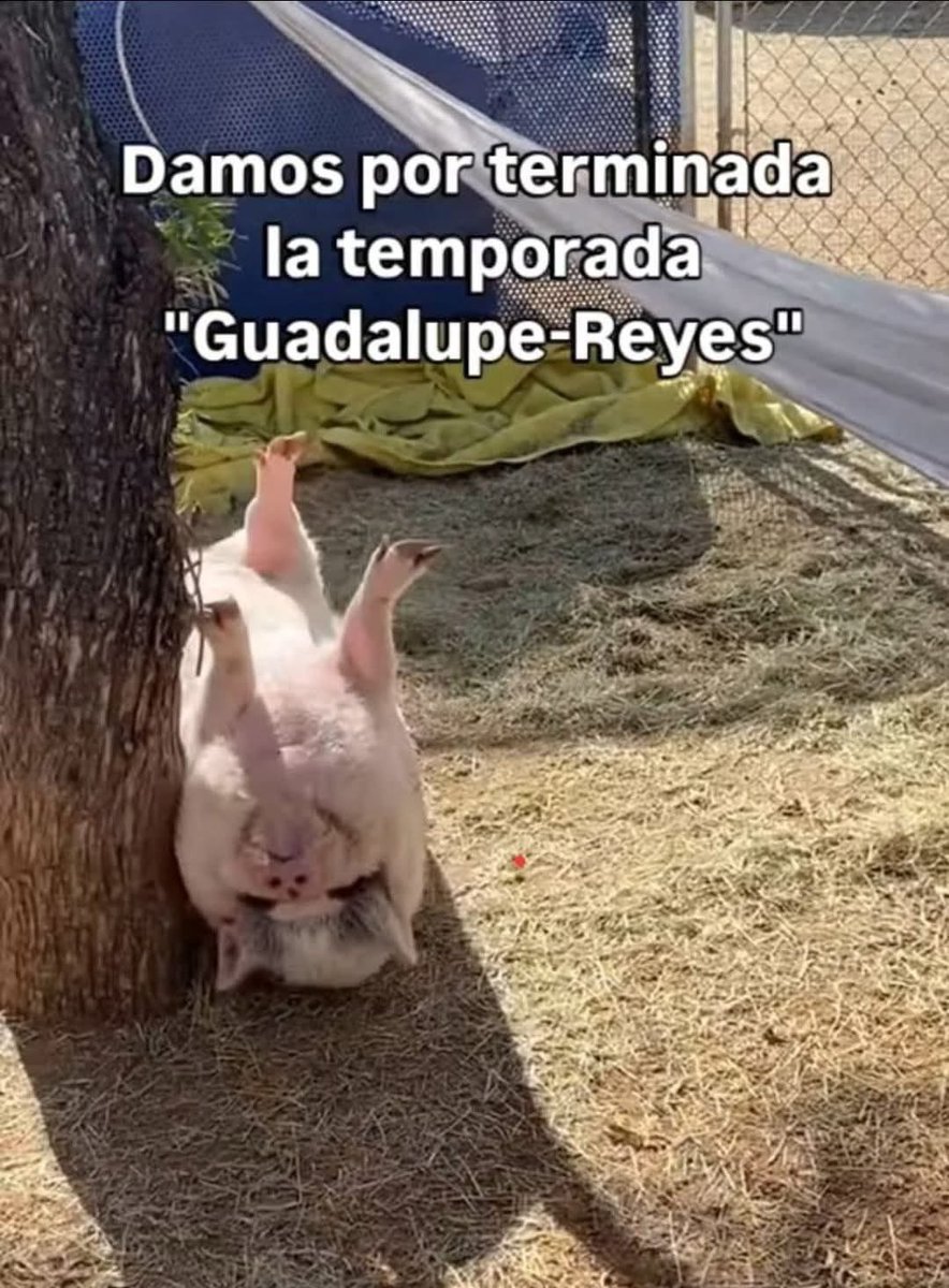 Brujo_Belico's tweet photo. Faltan los tamales 😁😁😁 https://t.co/4CRXFbXStm