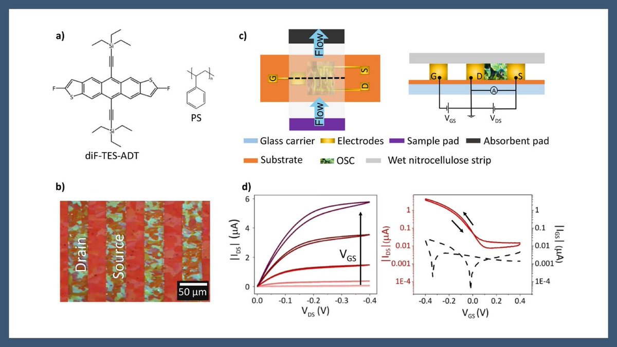 icmabCSIC's tweet image. New #ICMABResearch published in #AdvancedMaterials!

📌Electrically Readable Lateral Flow Assay Using Organic Transistors for Diagnostic Applications

icmab.es/electrically-r…

📜Read the paper here: advanced.onlinelibrary.wiley.com/doi/10.1002/ad…