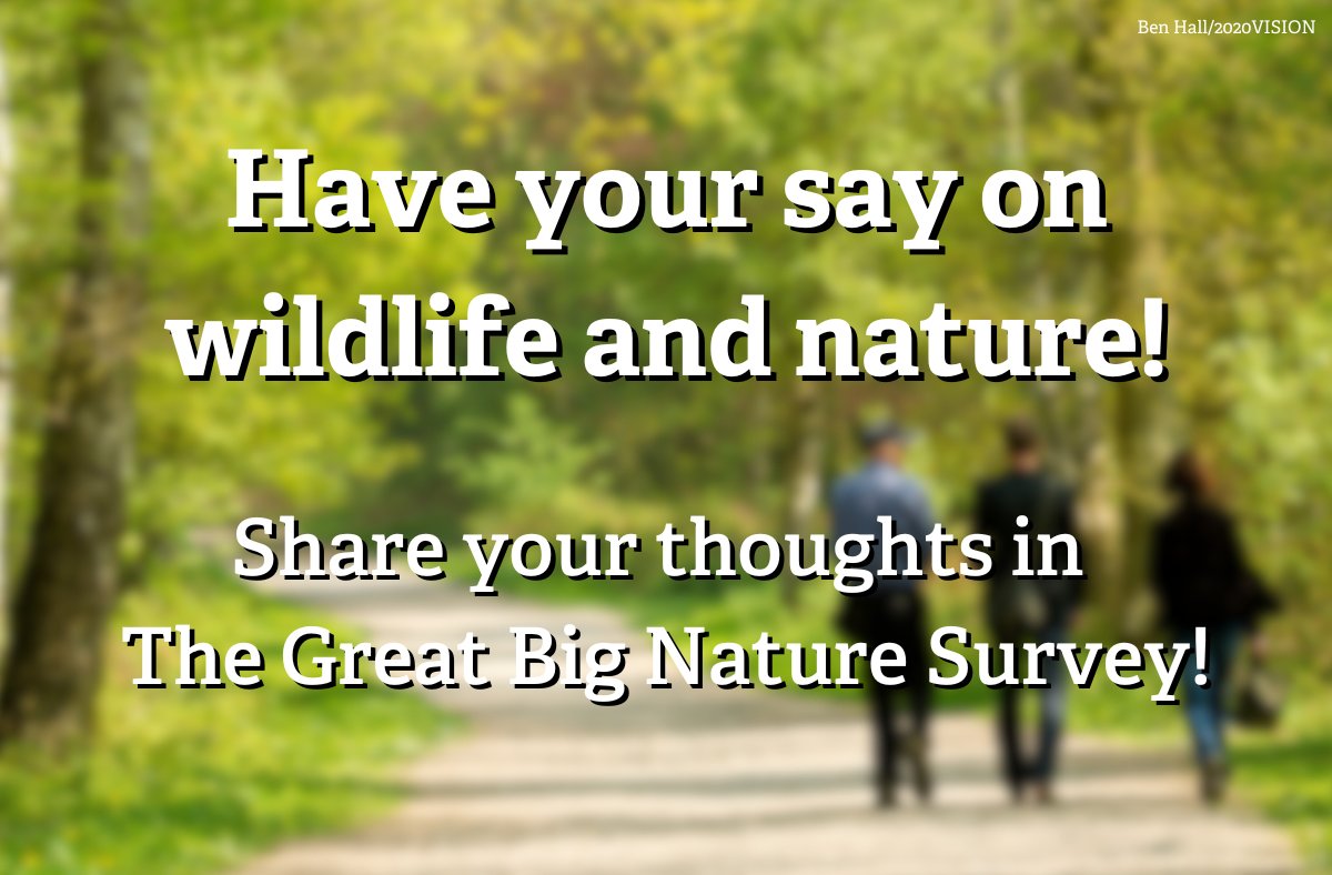 The Wildlife Trusts tweet media